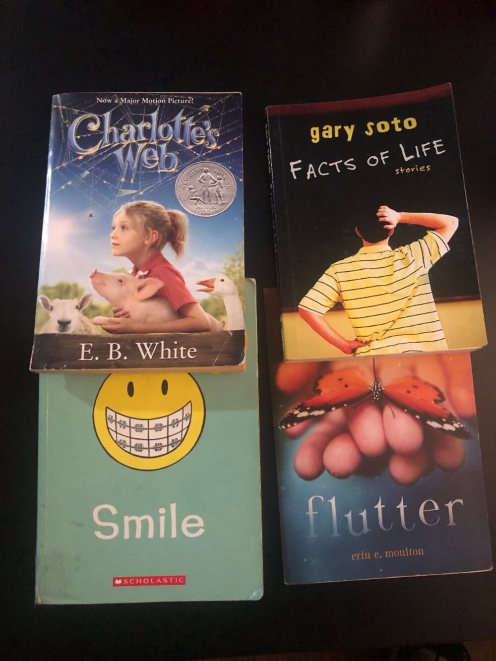 Bundle of 4 Kids Books in good condition